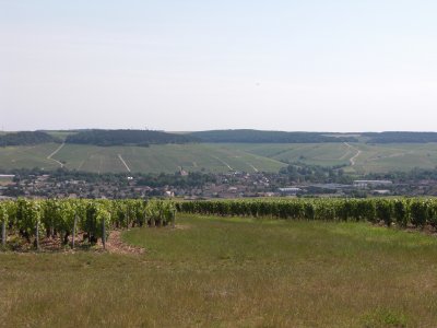 View of grands crus